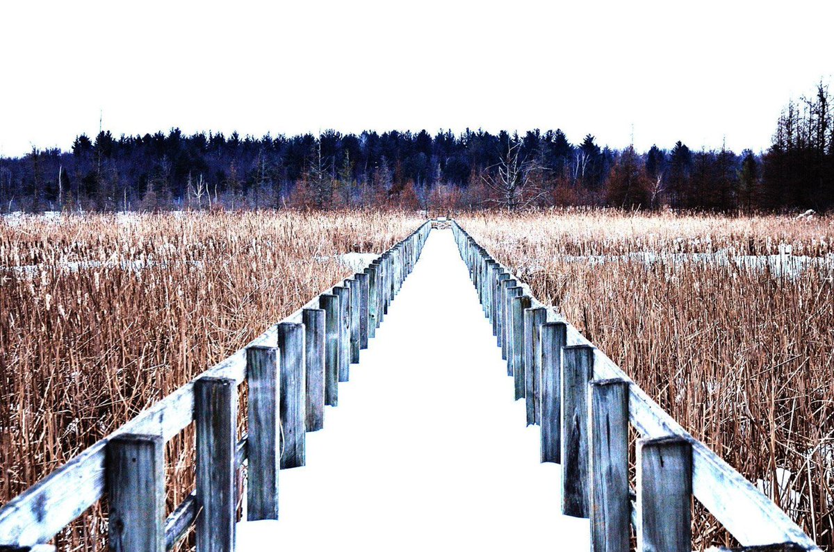 Looking for something to do with the family this March Break? Visit the largest bog and natural area in Canada's Capital region, Mer Bleue.

Perfect for a day outdoors with the family, walk the boardwalks, snowshoe, or cross-country ski through the trails

ncc-ccn.gc.ca/places-to-visi…