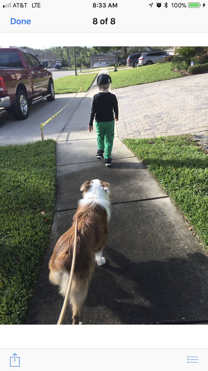 RegReader's tweet photo. My nephew got a GOOD dog, @darth . Odi is Australian Shepherd mix rescue so he can keep up with ADHD nephew. https://t.co/dlvDTYs1XO