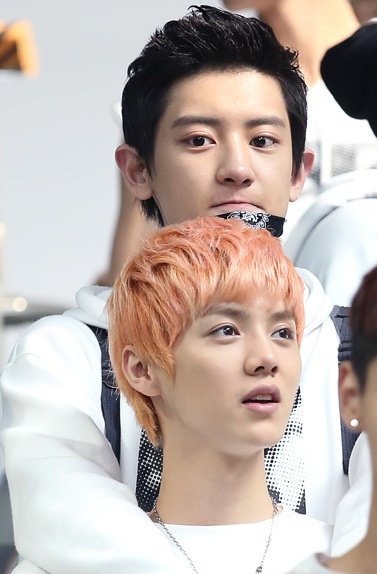 chanluachive's tweet photo. ❝The angels that live on the Earth deserve to be protected at all costs. You are my angel, so I will be your protector.❞ —ChanYeol said to LuHan. https://t.co/D2WqHhmQ5A