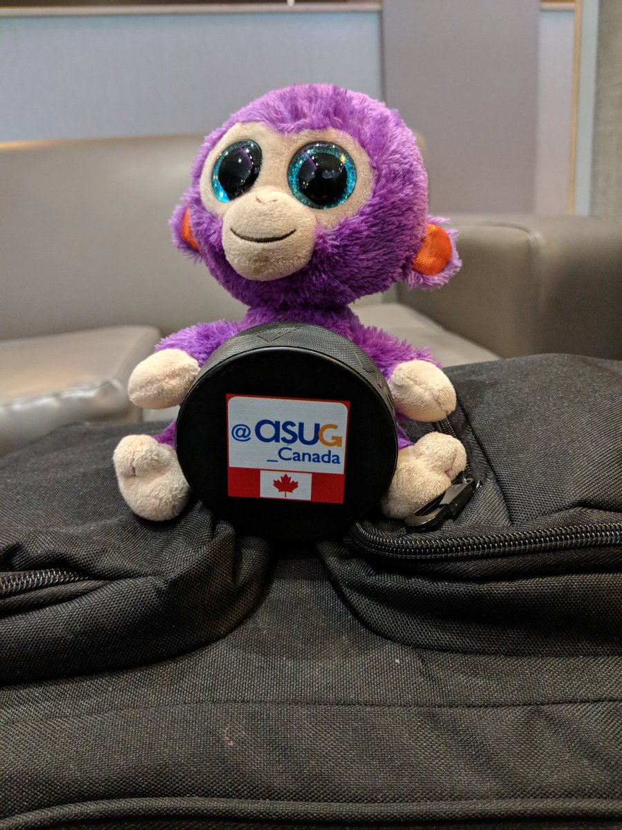 BoobBoo's tweet photo. #monkeyfriend and I have cleared security and waiting on boarding to LHR @ASUG_Canada @ASUG_Ontario @SAPMentors #masteringsap https://t.co/GPyZ8eP4Zx