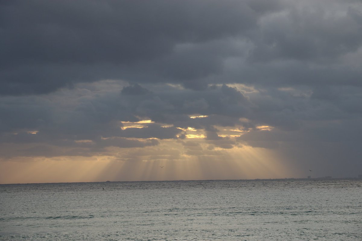 BienestarQR's tweet photo. Hermosa #PlayaDelCarmen 🌴🏖 a cualquier hora del día es un paraíso incomparable #10000Moments #10000Fotos #10000Pics 🌴 https://t.co/vn7ZW9CQIu