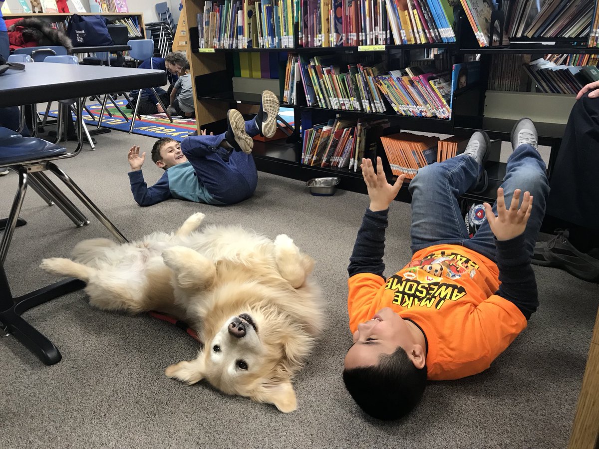 Just laying around with our Furry Friends #asd4all. #atbeavers #furryfriends