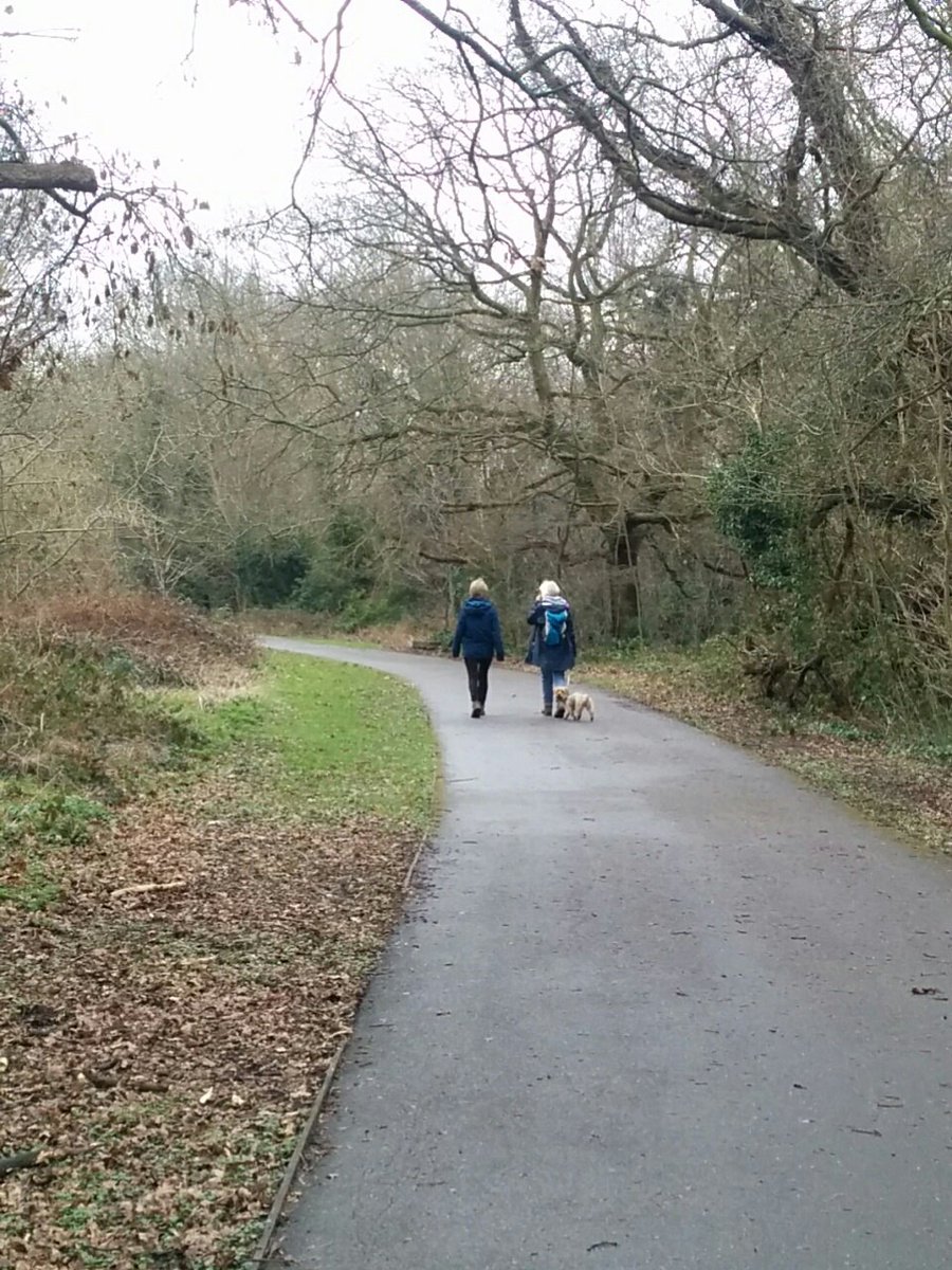 AlisonJArcher's tweet image. #PymmesBrook #communitymodelling group hard at work. #shapeourrivers #makeyourlocallovely ##riversarelife @Thames21 @john_b8 @LondonNPC @thisisyourriver #MadebyLondoners