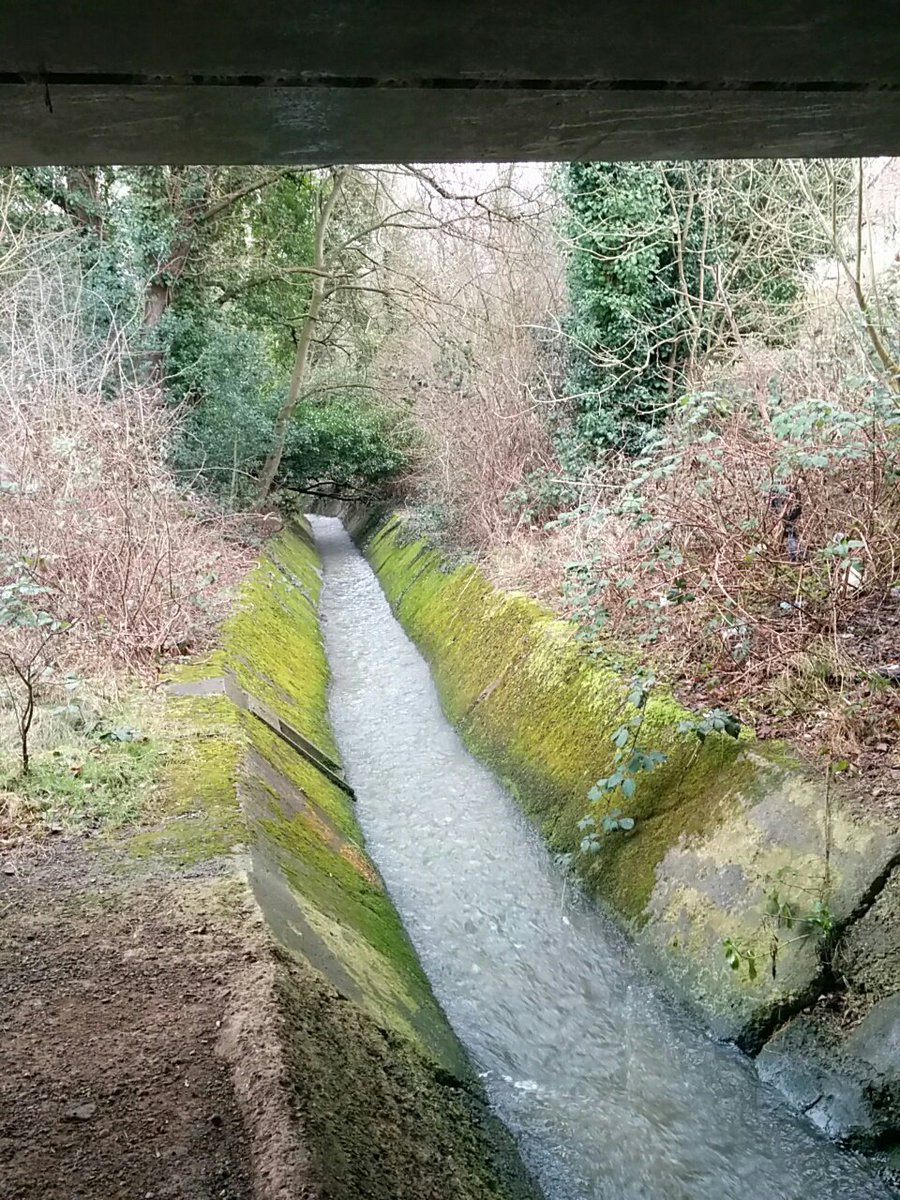 AlisonJArcher's tweet image. #PymmesBrook #communitymodelling group hard at work. #shapeourrivers #makeyourlocallovely ##riversarelife @Thames21 @john_b8 @LondonNPC @thisisyourriver #MadebyLondoners