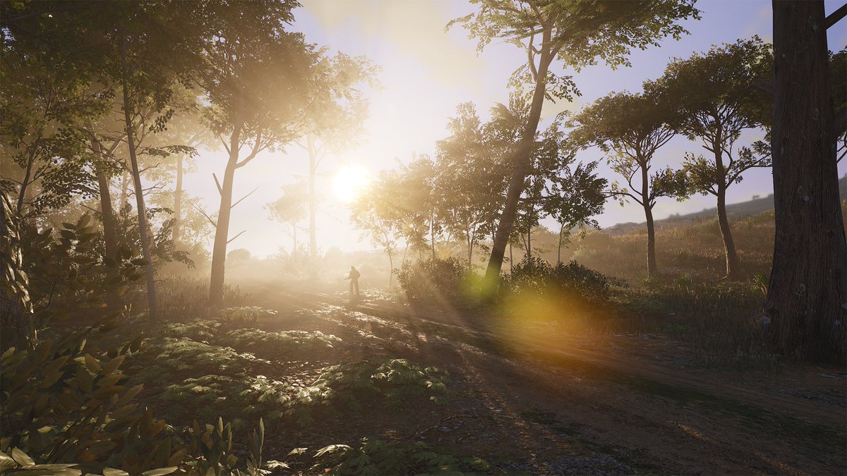 ScumGame's tweet photo. New screenshots! All made by our first wave of closed testers. =D

#screenshotsaturday 
#SCUMGame https://t.co/8lKchLsI6b