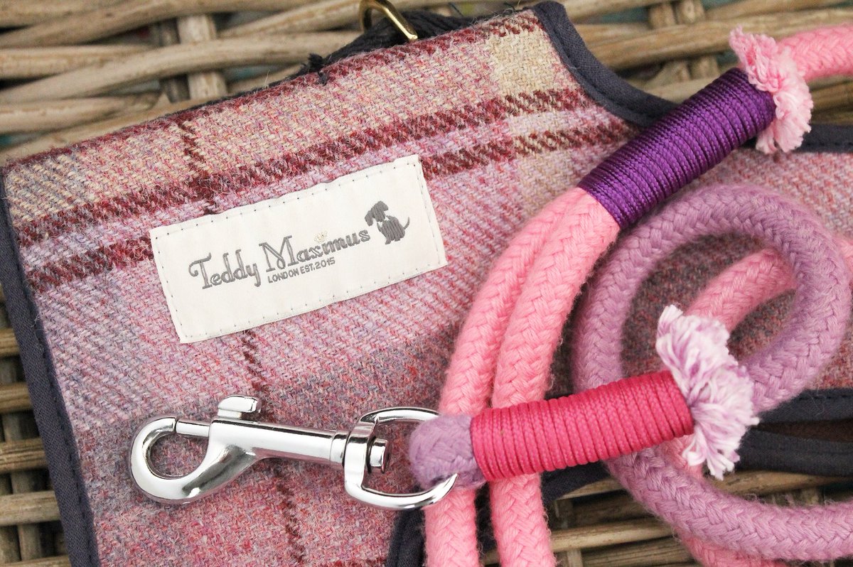 chloeprender's tweet image. Winnie’s just had her pre-Crufts bath, the bags are packed &amp;amp; the alarms are set! I’m SO excited! I wrote a blog post sharing what we’re taking, &amp;amp; what’s on our wish list 💖 archiesgreatadventures.com