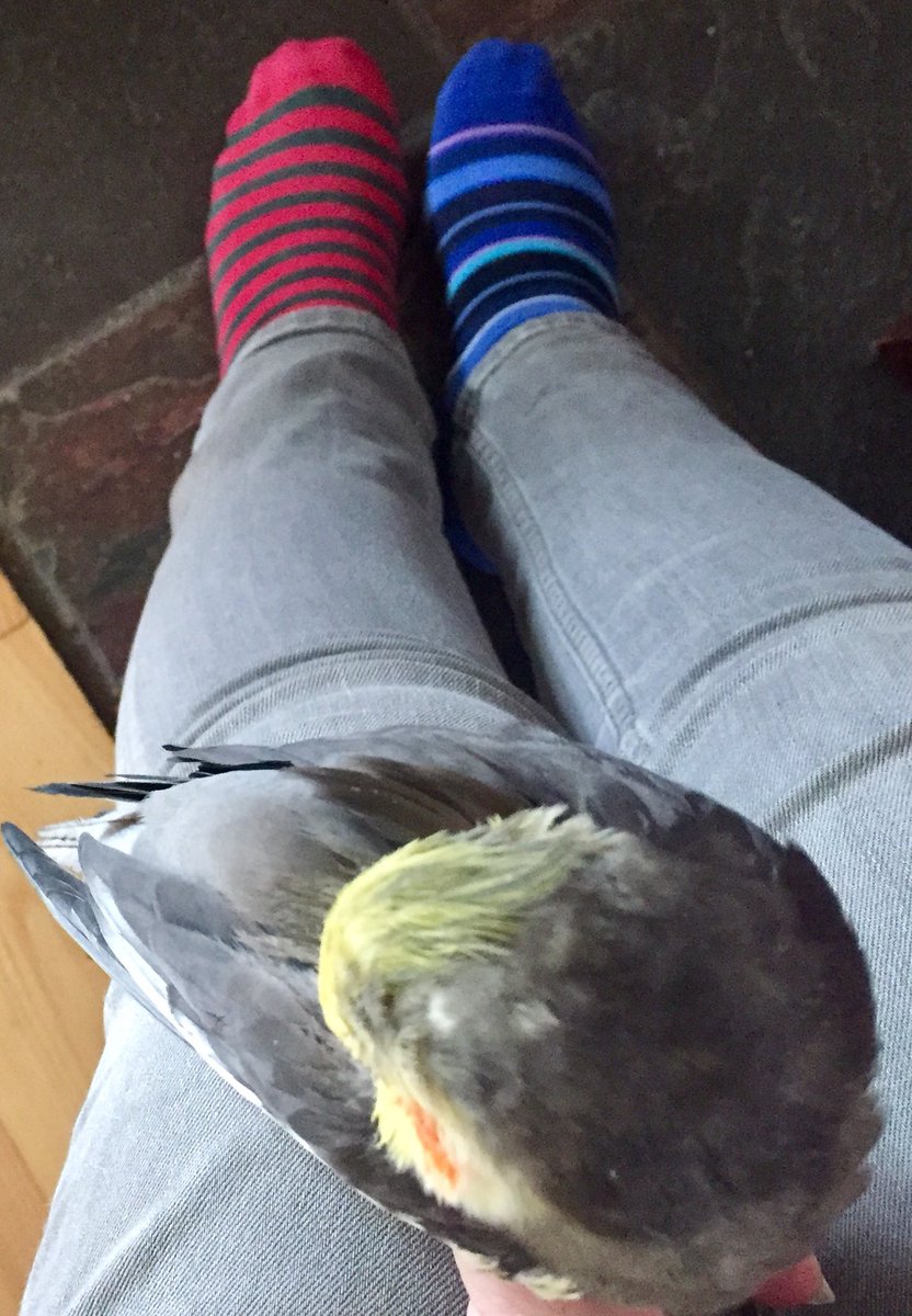 NinxWear's tweet image. It’s #LymphoedemaAwareness week. Wear odd socks and show your support #lymphsupport @lymphsupport @Lymphwhatoedema @BritishLymph  @LymphaticNet #lymphedema