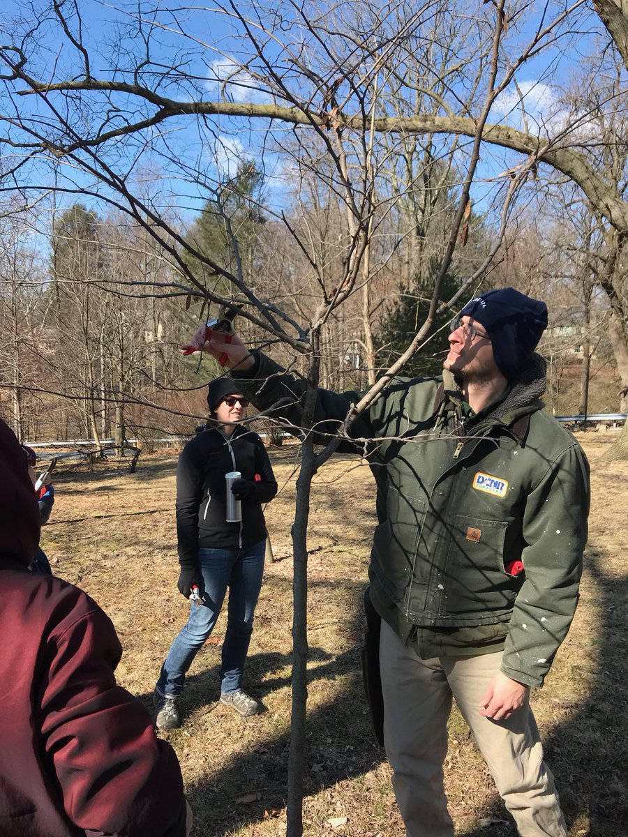 DCNRnews's tweet photo. Certified arborists in DCNR’s Bureau of Forestry work with volunteers in the @thecityofhbg community to teach them about proper tree care and help care for the city’s trees. #TreeVitalize https://t.co/lS54WMOahm