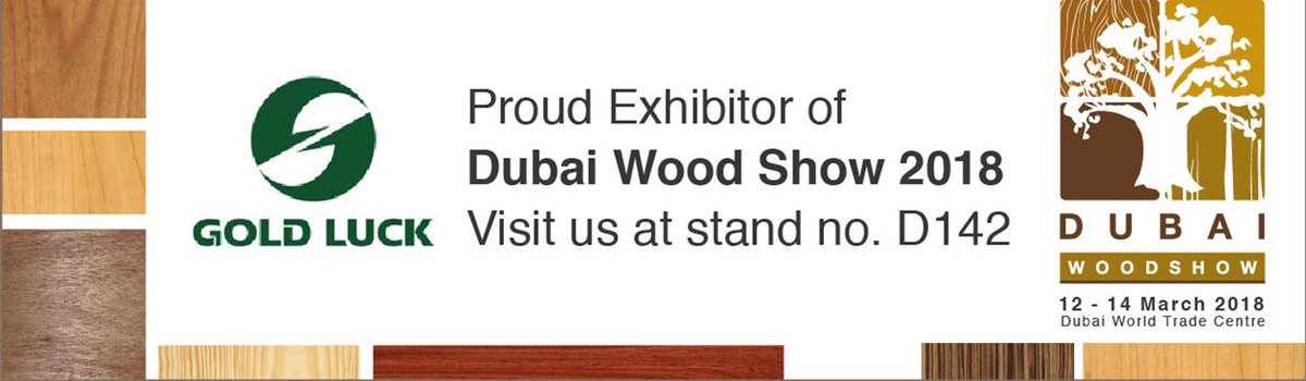 ZoeGoldluck's tweet photo. Dubai！Here we are！ https://t.co/ftbcxRFFFS