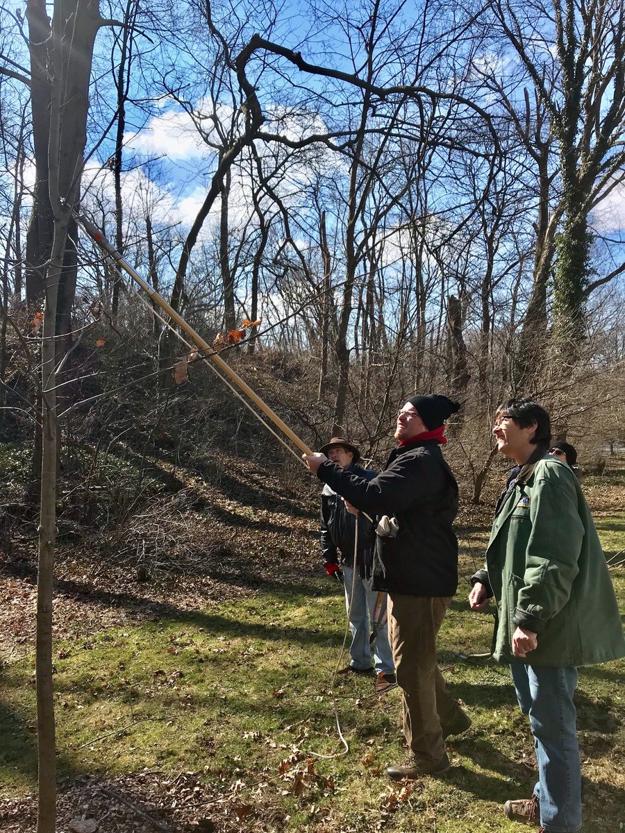 DCNRnews's tweet photo. #Volunteers care for @thecityofhbg trees because #healthytrees improve the quality of life for neighborhood residents, reduce crime, improve air quality and slow vehicle traffic. Check with your city for volunteer opportunities. #TreeVitalize https://t.co/04DP5a8Pqe