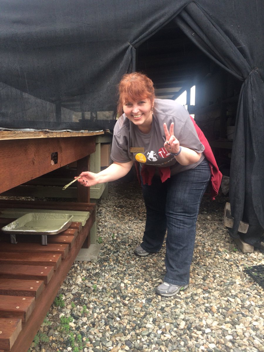 USCSecondDecade's tweet image. Painting in the rain with the @PVPLC for @USCAlumni Day of #SCervice