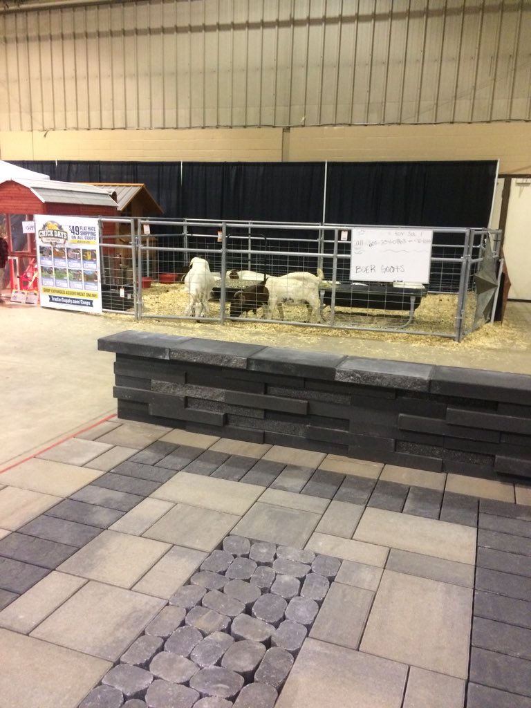 Jay Anderson tweet media