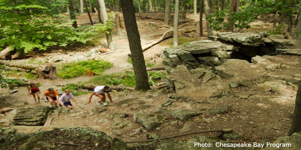 CleanWater_MD's tweet image. Maryland’s forests foster outdoor activities such as camping, biking and hiking. Help us #ProtectOurTrees and sign our petition today. greenactions.org/protect-maryla…