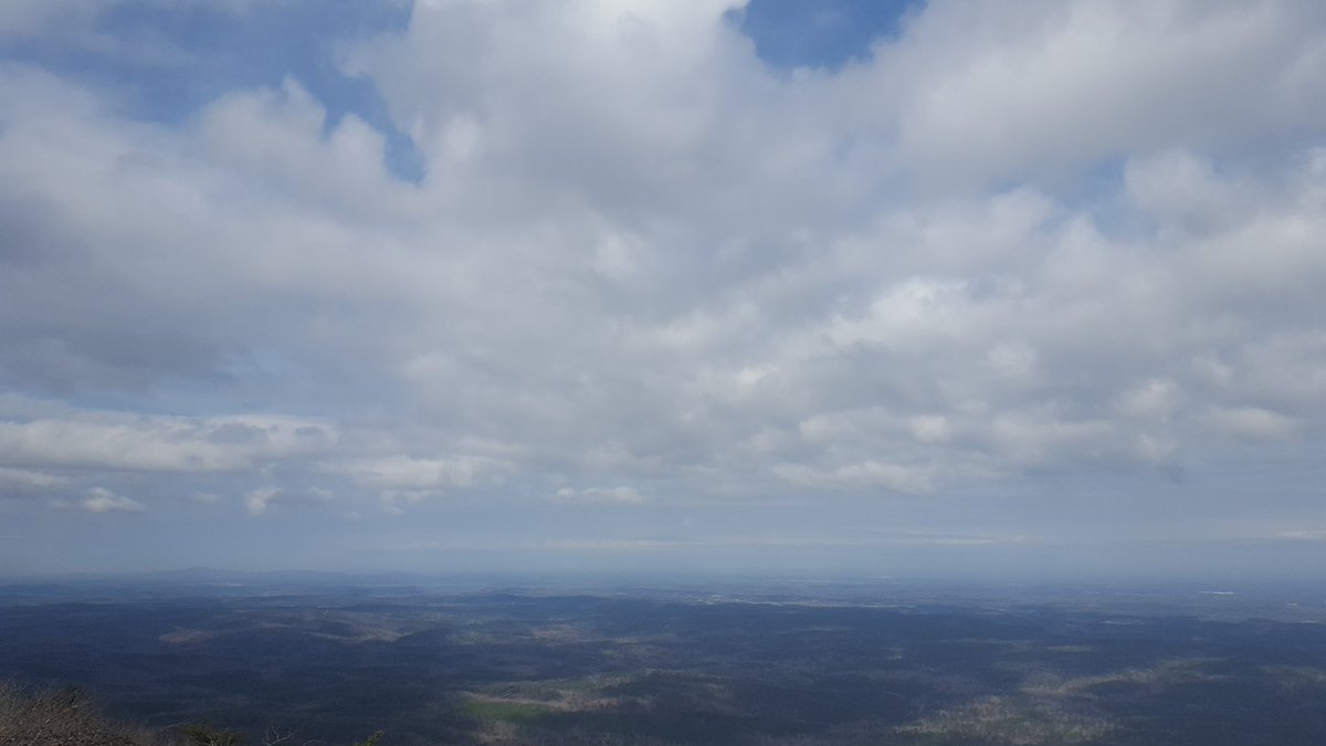 janinemoses's tweet photo. When this is your reward, even a "so-so" run feels great! https://t.co/EZCfCmkMqG