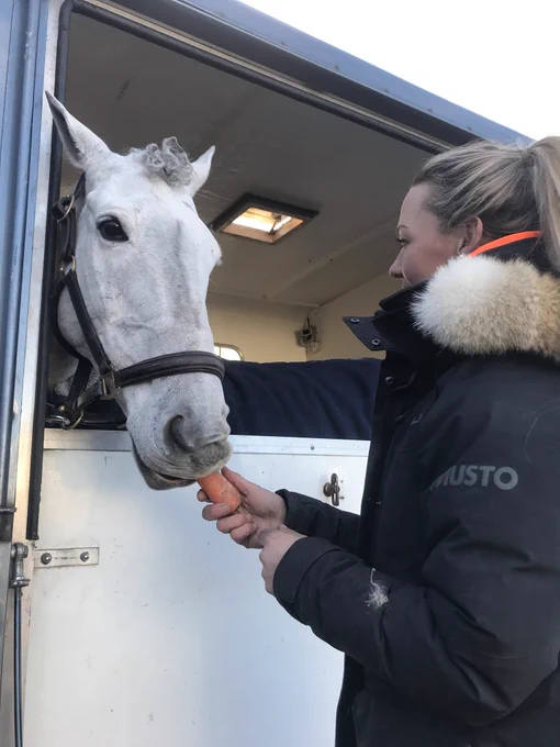 Image from Dani Evans Eventing (@DLEventing)