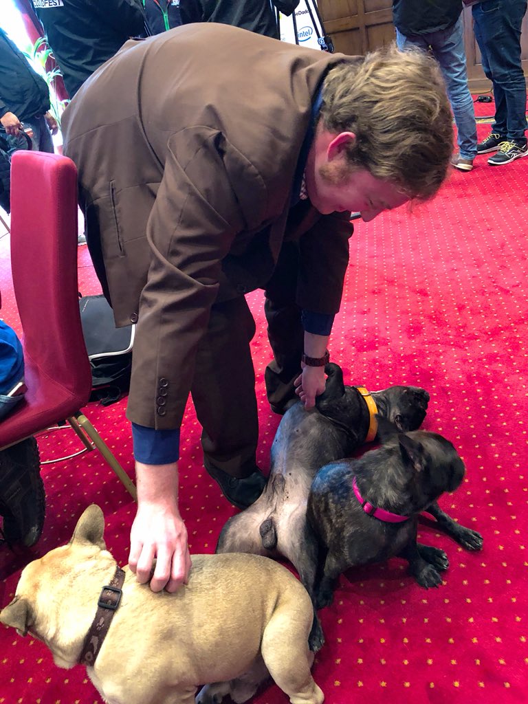 CaroleOlinger's tweet photo. More hands needed! π
Our Frenchies are spoiled at the #CFHack18 @cloudfest π #Wabully @schlessera https://t.co/aPSZnlhvaw