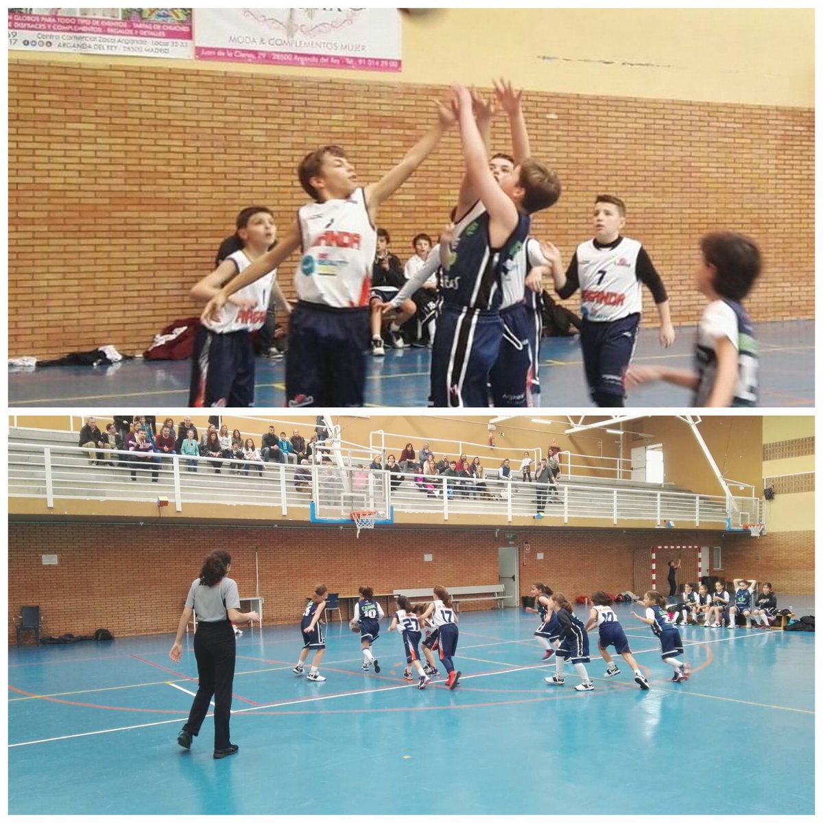 SjPbasket's tweet photo. Tarde de #MiniBasket en BodybellArganda con las #MiniCaimanes de @PedroJoseMiota y el #AlevinMasc07 de @serx_onthebeach 💪🏀😍 https://t.co/BhDIyW3MjN