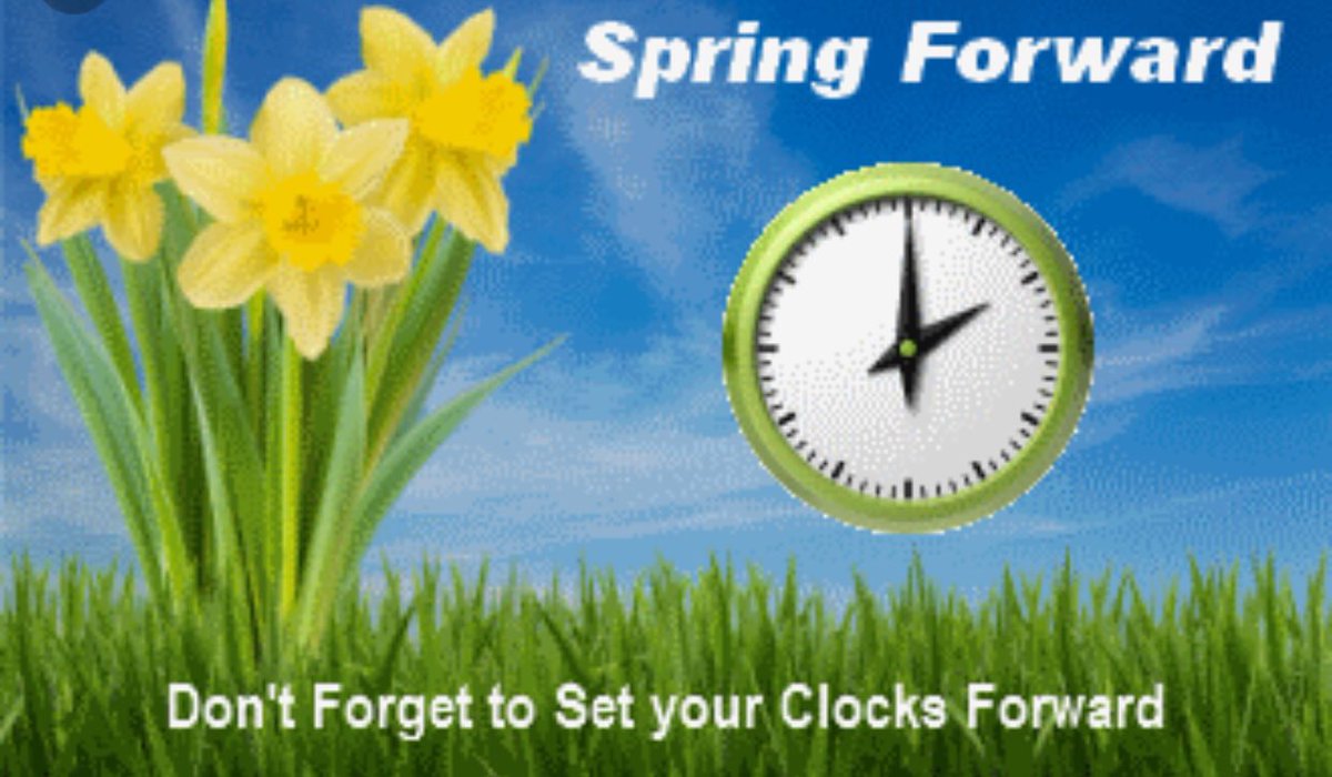 ParmaleeTravel's tweet photo. It’s that time of year again. Remember to sets your clocks 1 hour ahead before bed! https://t.co/unOneAyDCV