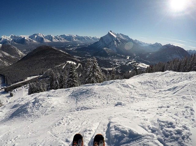 Travel Tales of Life tweet media