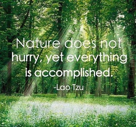 LondonMindful's tweet photo. https://t.co/1qFb9l7fZN