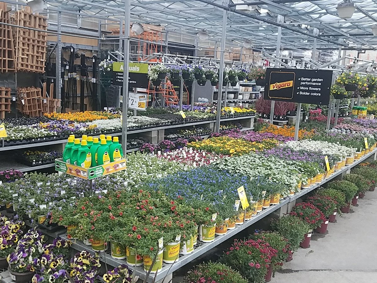 T_Town37's tweet photo. @hdfairfield @AltmanPlants #WeekendReady #ColorOnColor #BeautifulPlants https://t.co/OFm2HXheXV