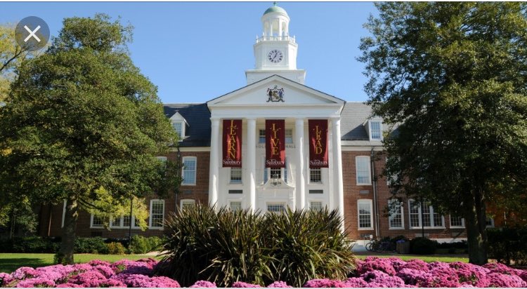 ZTimmoms's tweet photo. I’m very proud to announce that I will be continuing my academic and Lacrosse career at Salisbury University! Thank you to all who have helped me over the years #Gogulls https://t.co/ZEnNVZ5CMW