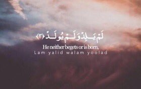 77___yy1's tweet photo. #حياتك35 ثلث القران🍃✨ https://t.co/0rM1ox4TWL