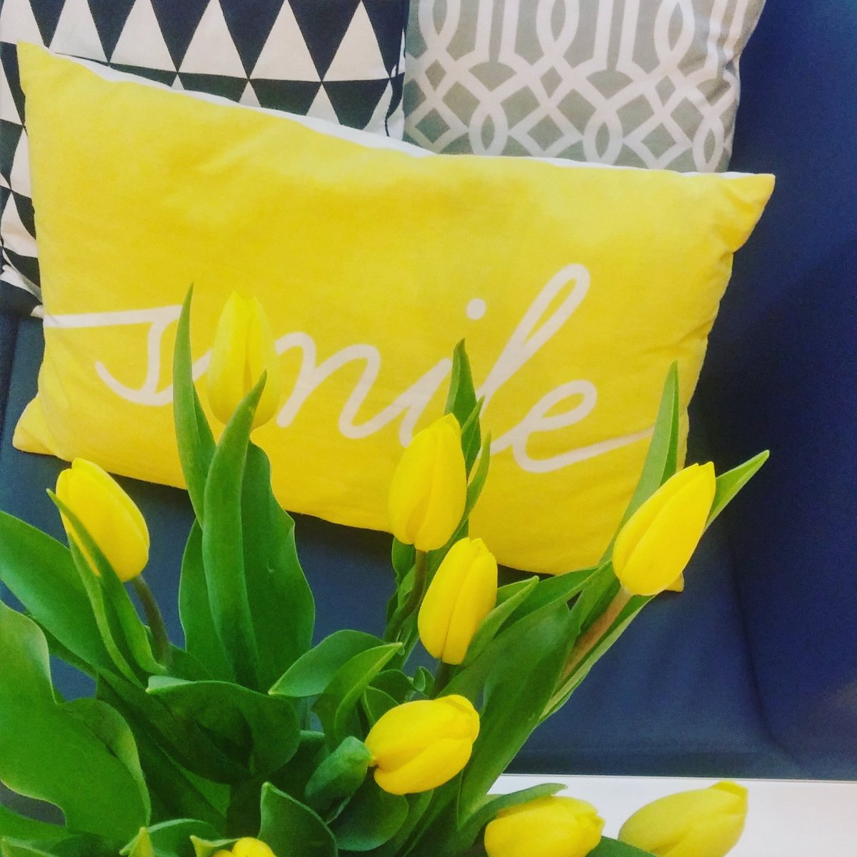 CU_Myskiewicz's tweet photo. Smile it's weekend #tulipany #wiosna #spring #przepis #smile #lodz #centrumurody #myskiewicz #piotrkowska22 https://t.co/fFXetY6vgF