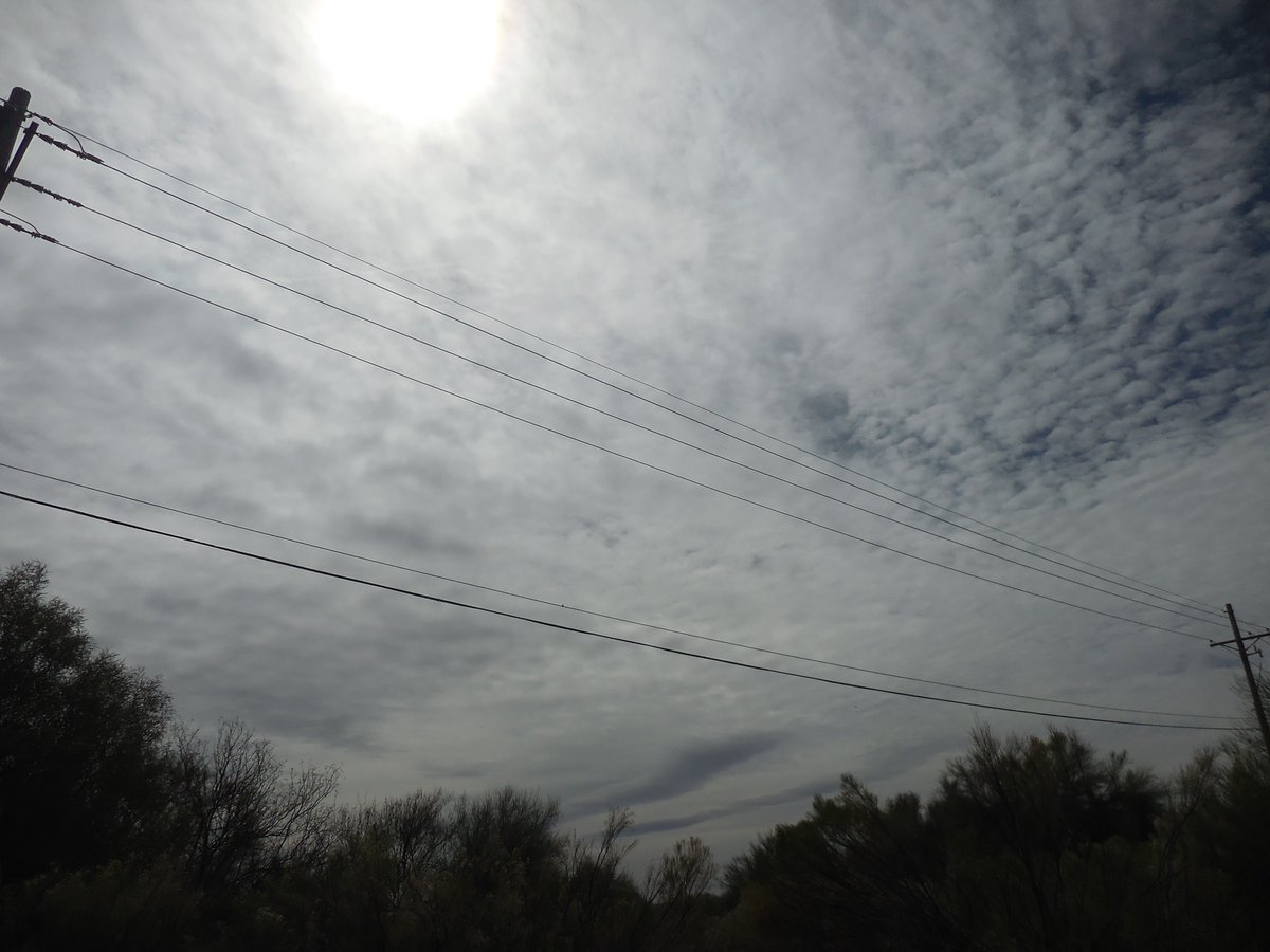 MollyBuvoCia's tweet photo. The new Southern Arizona blue sky. #WeDoNotConsent #LookUp #GeoEngineered #FakeSky #ClimateChangeHoax #AllSetFor #ProjectBlueBeam https://t.co/WneHreZdvQ