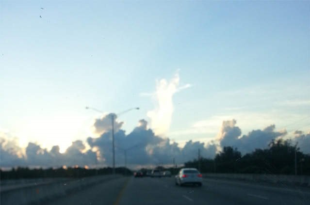 DrunkSemaphore's tweet image. 