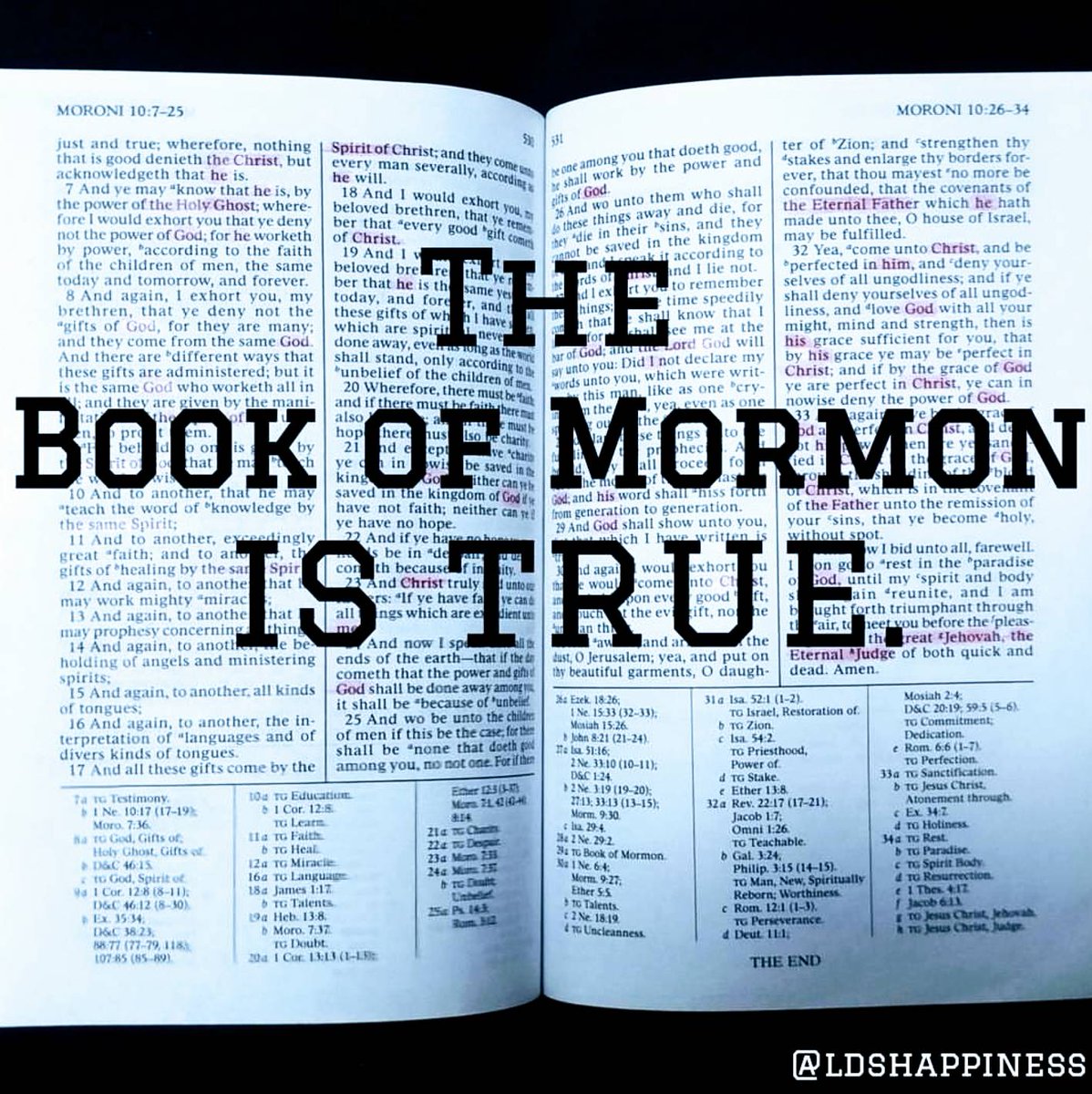 LDS Happiness tweet media