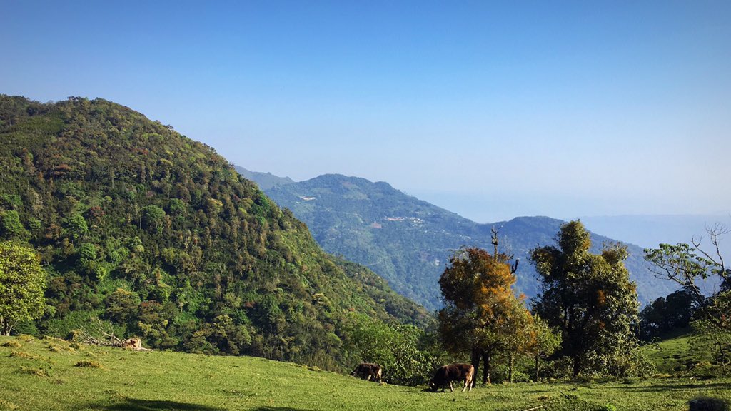 Lethuska's tweet photo. Xicotepec, Puebla.. #paisajes #Mexico #montañas #vida #LugaresQueHablan #UTMX #DesafioEnLasNubes https://t.co/v0FfVa0E85