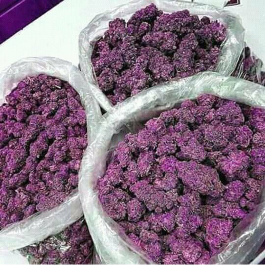 maxwell3003's tweet image. 