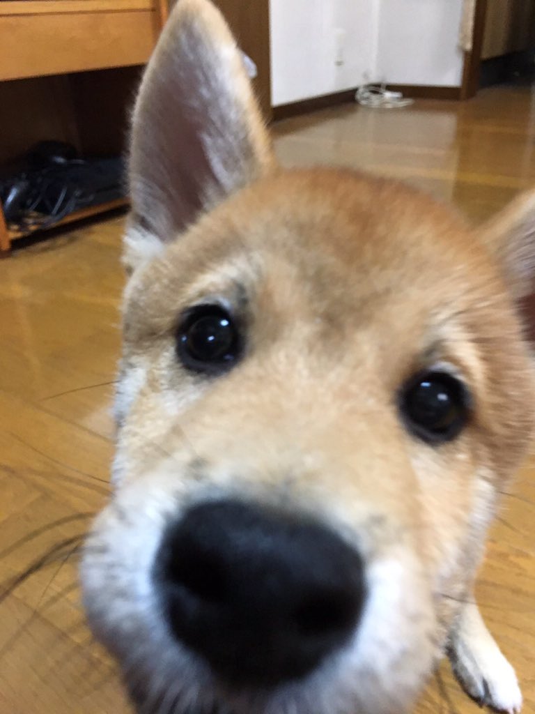kaopin1000 tweet picture