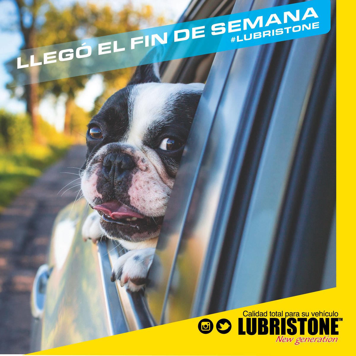lubristone's tweet photo. Cuéntanos ¿Cuál es tu mejor compañía cuando sales a dar un paseo en tu carro? #lubristone #díaenfamilia #díaenamigos #díacontupareja #díacontumascota 😎 https://t.co/XXKstlVlP5