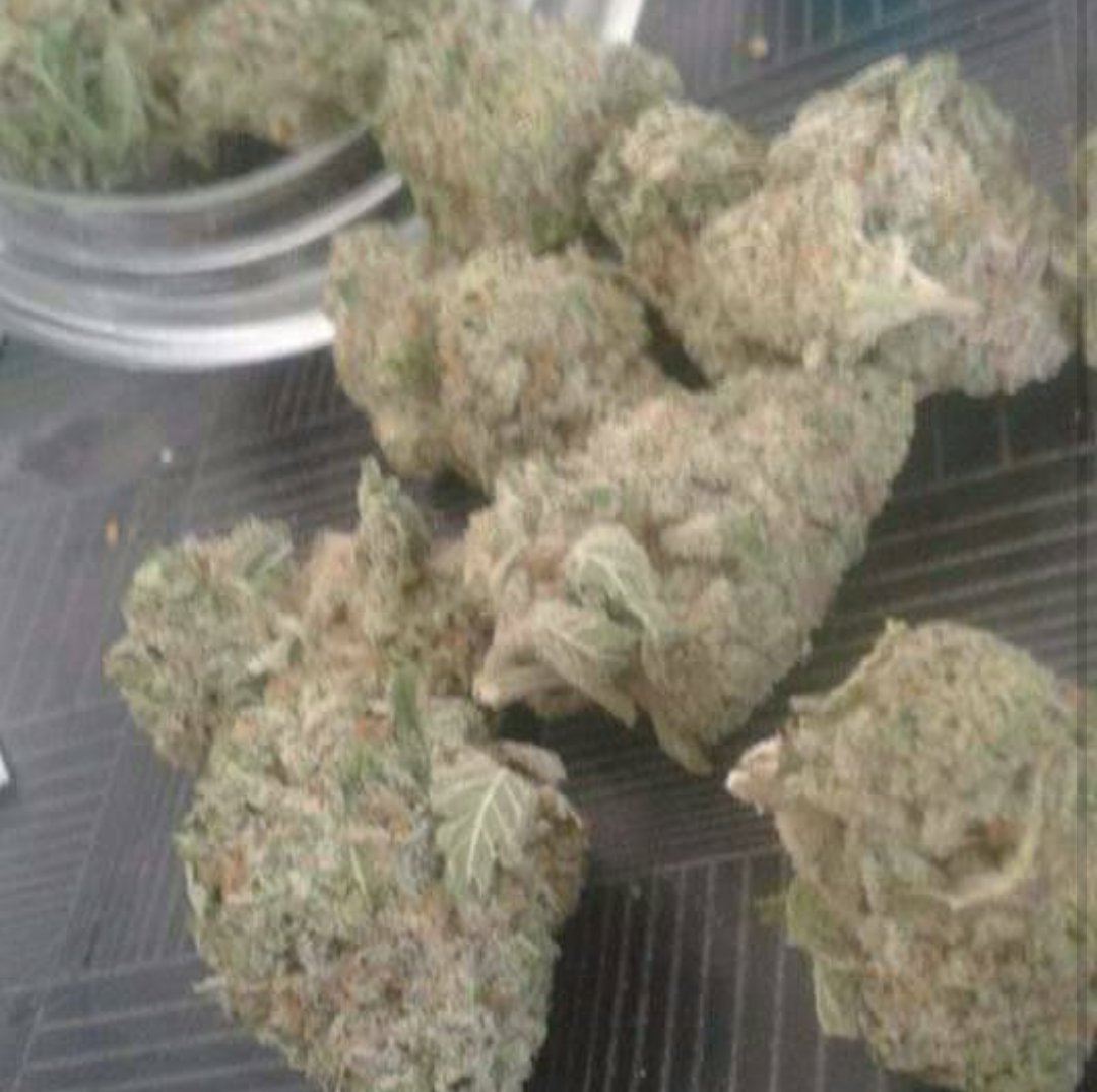 maxwell3003's tweet image. 