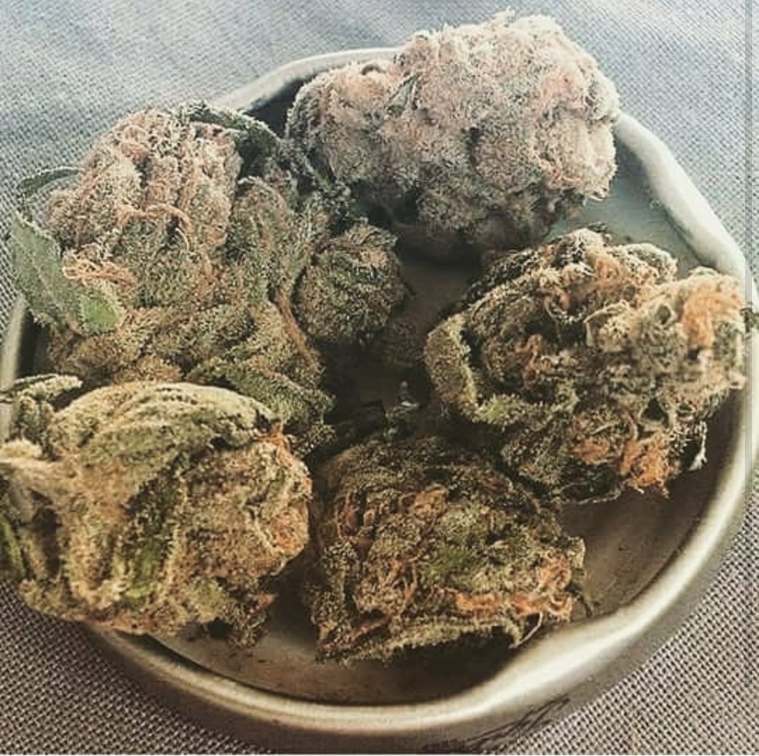 maxwell3003's tweet image. 