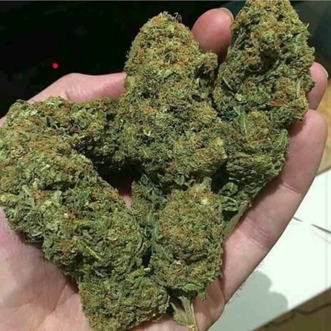 maxwell3003's tweet image. 