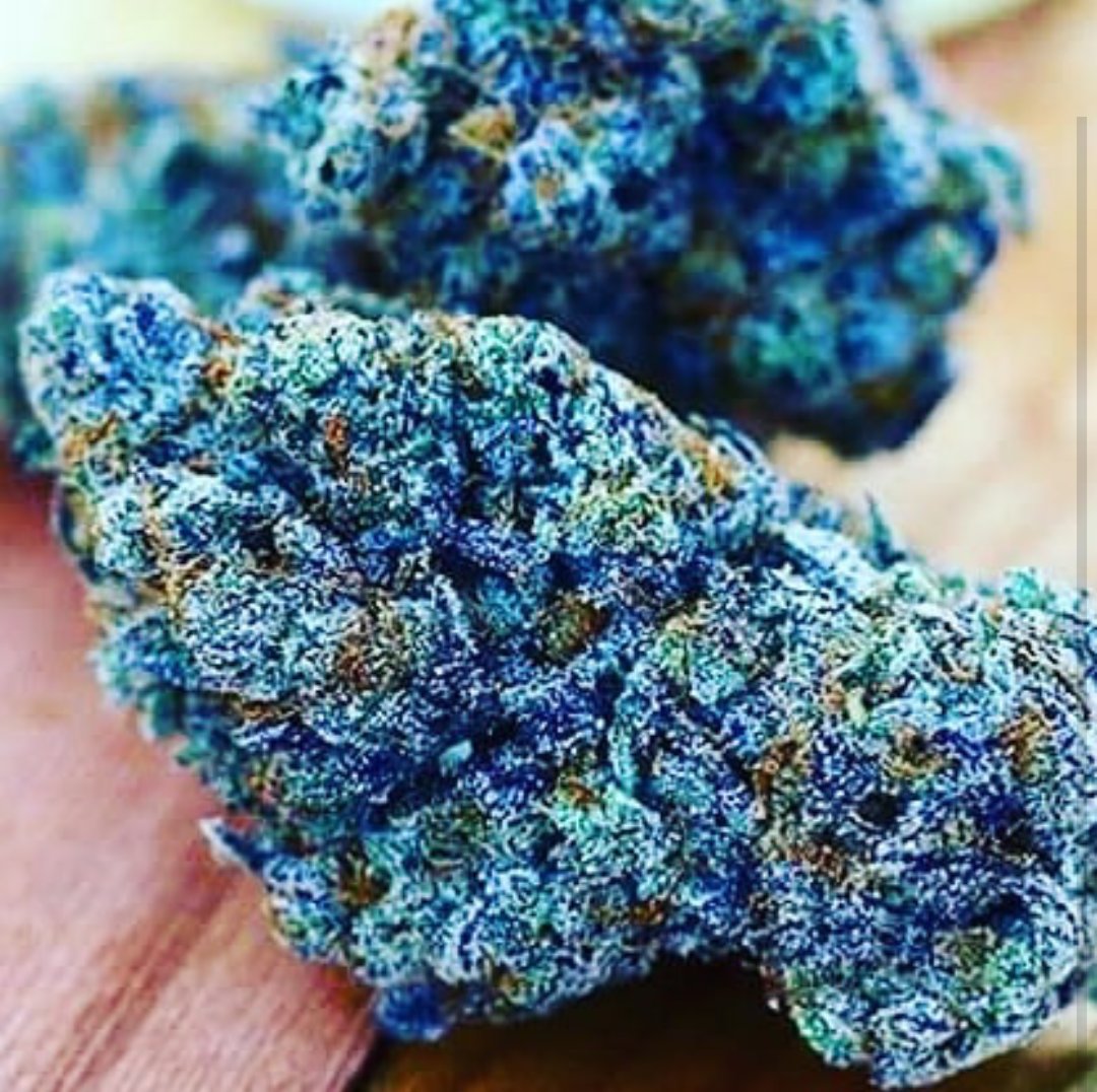 maxwell3003's tweet image. 