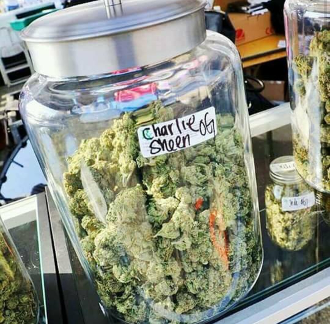 maxwell3003's tweet image. 