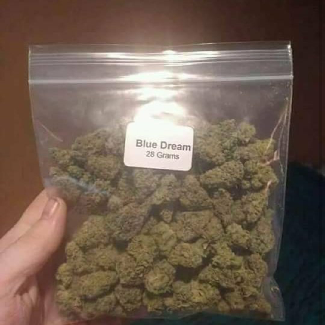 maxwell3003's tweet image. 