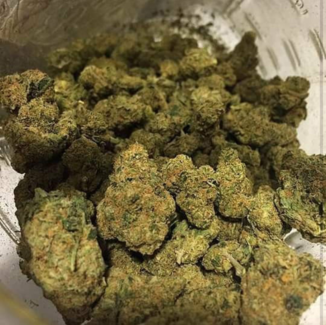 maxwell3003's tweet image. 