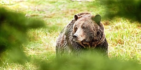 Epoch Universal tweet media