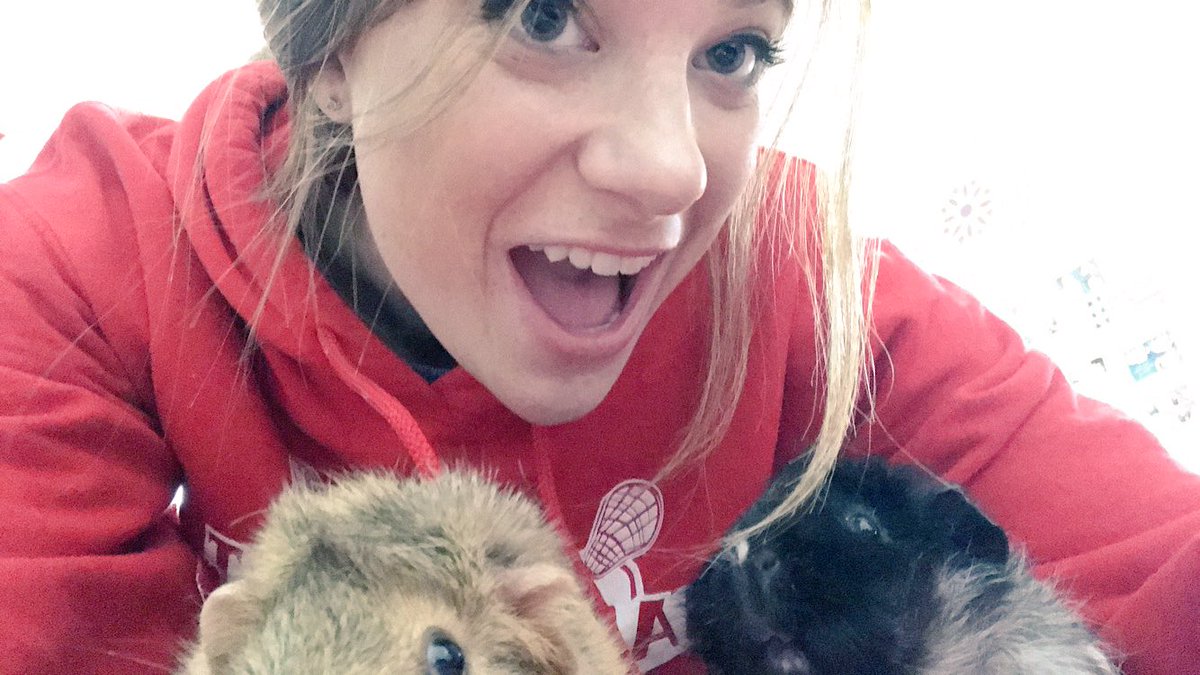 bekah3000's tweet photo. ❤️🐹 https://t.co/XgCWBUNEcH