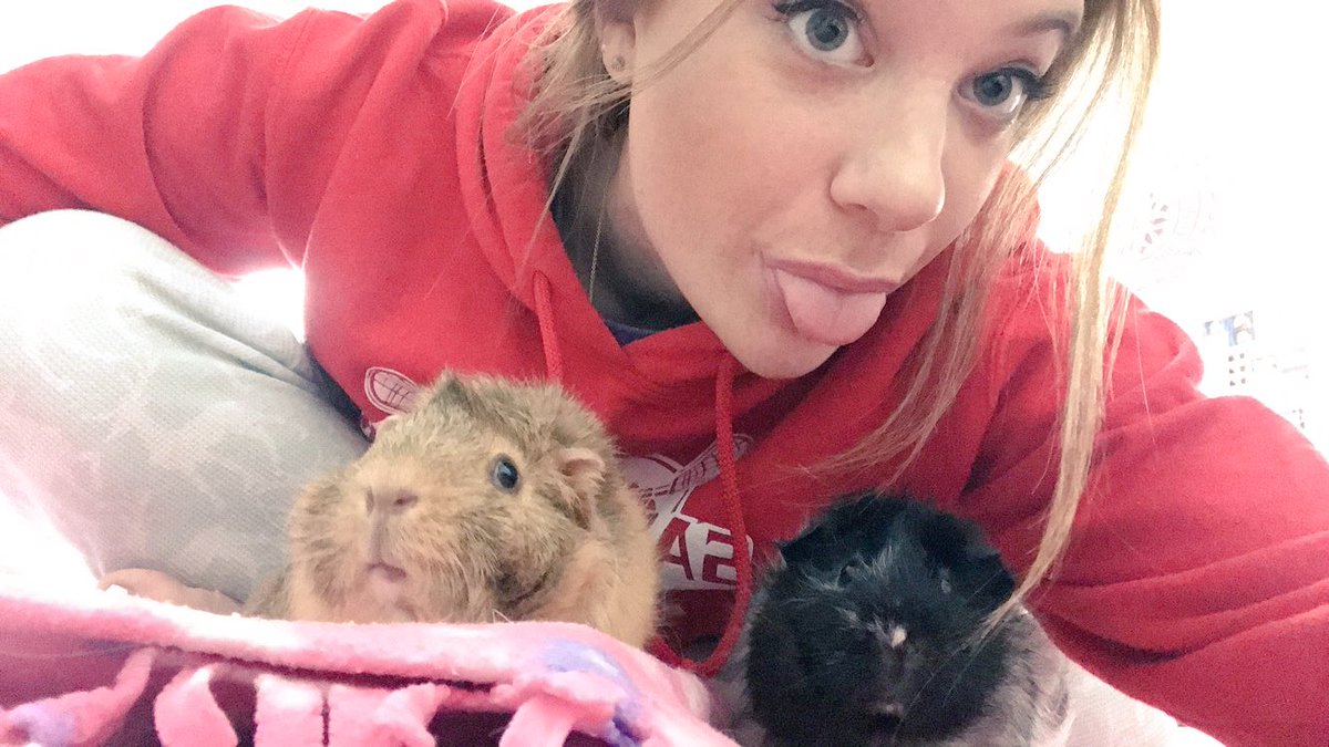 bekah3000's tweet photo. ❤️🐹 https://t.co/XgCWBUNEcH