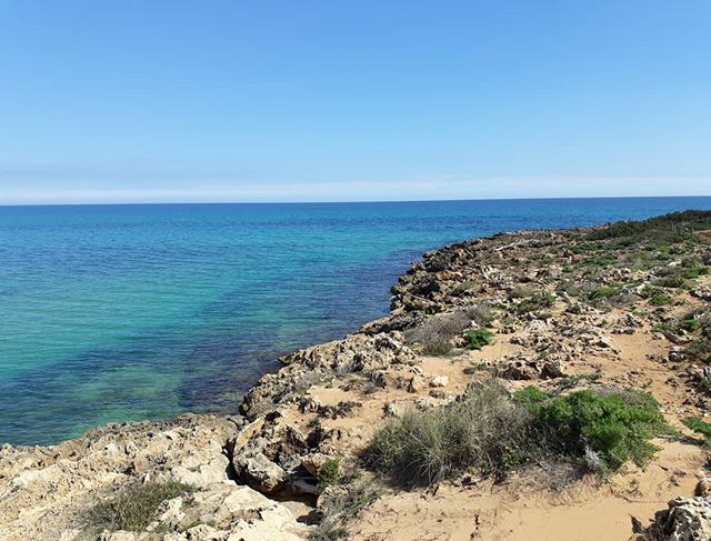 TrailsOfSicily's tweet photo. The sea inspires the imagination.
#vendicari #sicily #sea #skyline #naturephotography #naturalreserve #seacoast #sicily_mood #Sycylia #wybrzeże #morze #pieknemiejsce #pieknapogoda #colortherapy #natureguide #naturetrail #natura #sicilylove #exploresicil… https://t.co/nkcIUlmfTd https://t.co/6qSpONlgAz