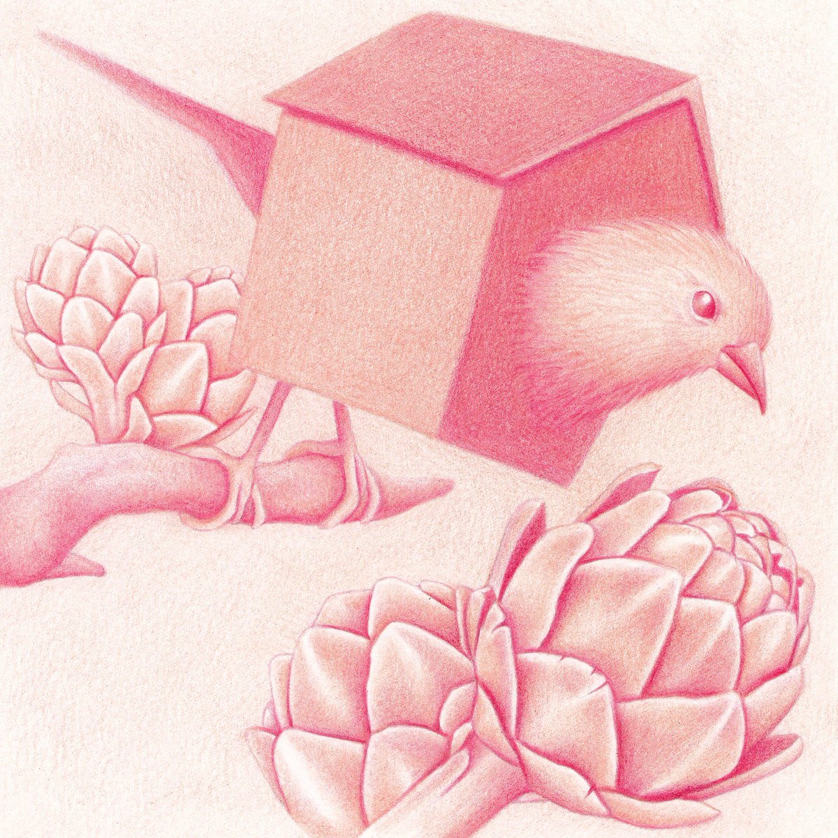 DanDesEynon's tweet photo. Pink Haze | Colour pencil https://t.co/NQyC9kbS84