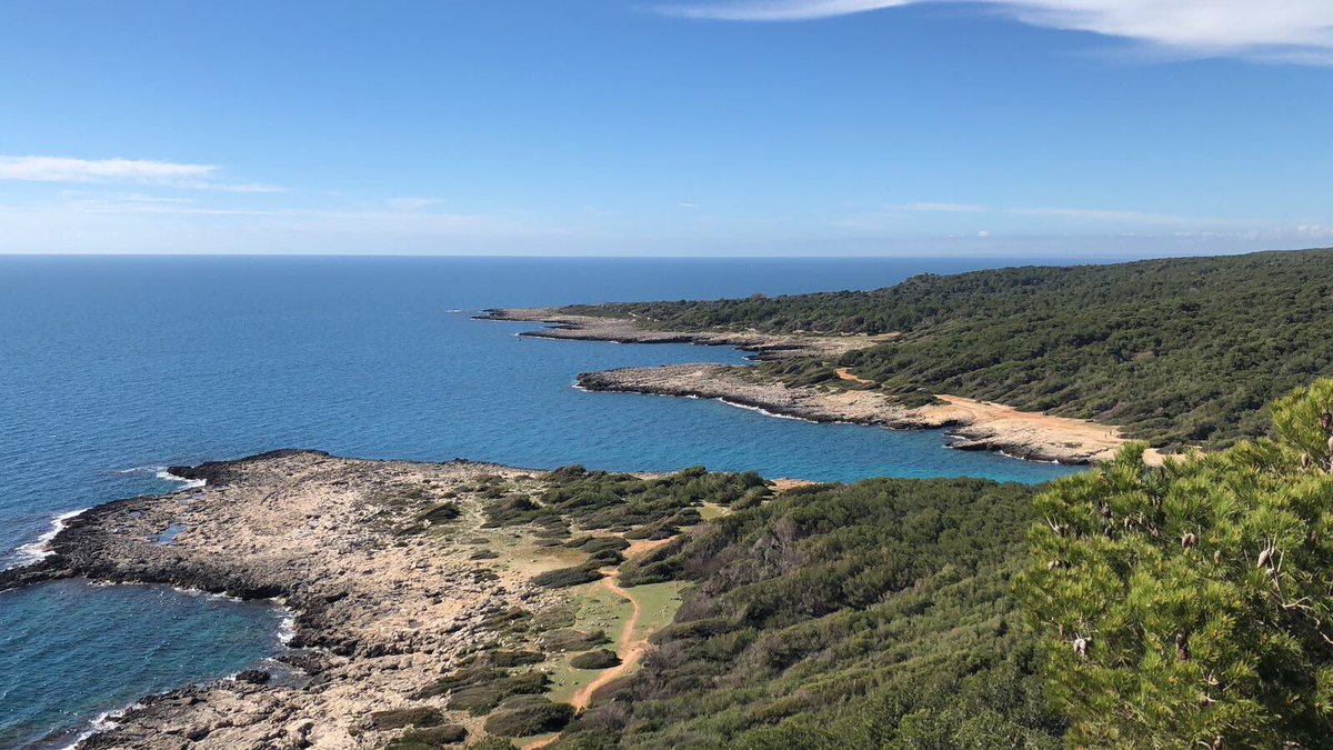 Mentre siamo fiera a Berlino a parlare di Salento riceviamo questa foto che ritrae un paesaggio mozzafiato: è Porto Selvaggio il parco  naturale del <a href="/comunenardo1/">Comune di Nardò</a>. Servono parole? 
#ITBBerlin #ITB2018 #salentodamare