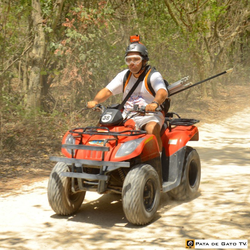 PataDeGatoTV's tweet photo. 🙂 #HoyMeGustariaDecirteQue a pesar de todo, #PlayaDelCarmen es un destino muy hermoso que vale la pena conocer ¡Tenemos #10000Pics que lo demuestran!
https://t.co/B6av3id9Xx
#ItsAGreatDayWhen you wake up a #SaturdayMorning in such a beautiful place as #RivieraMaya! #Mexico https://t.co/T7yucI5cKY
