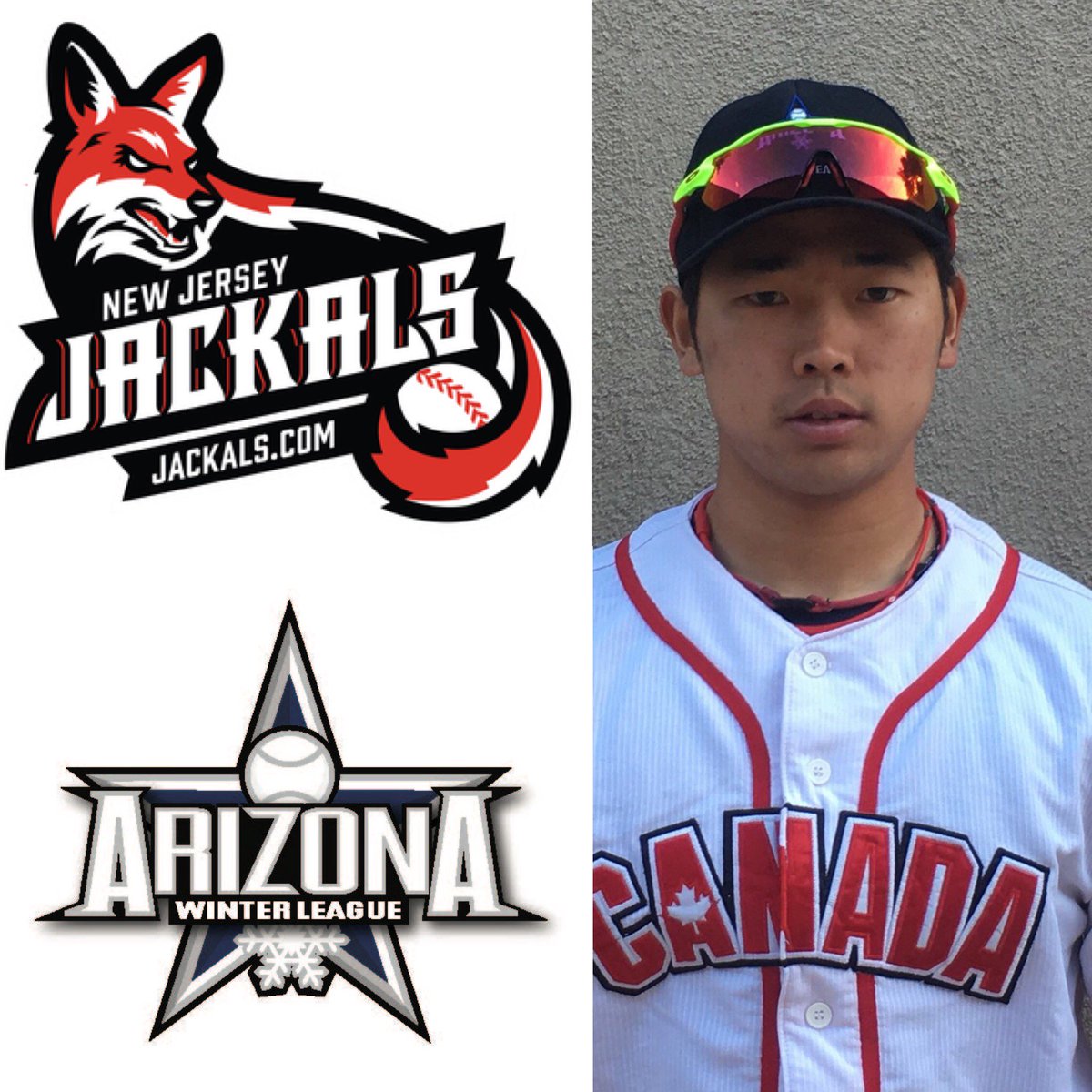 Pro Prospect Winter League tweet media